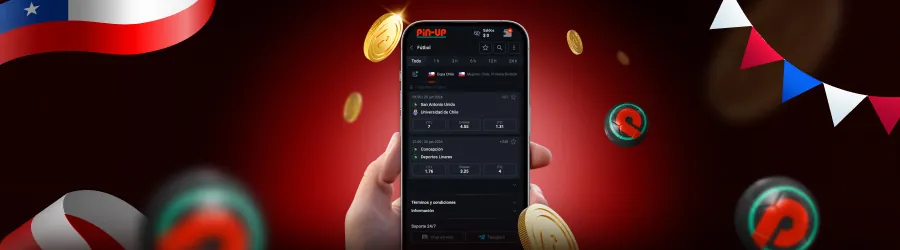 app pin up casino